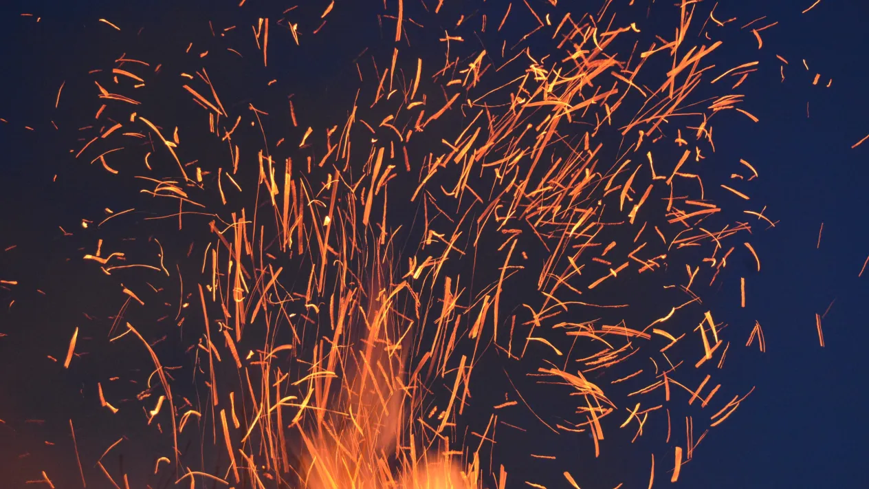 Meine Bilder (Foto: pixabay) Meine Bilder (Foto: pixabay)