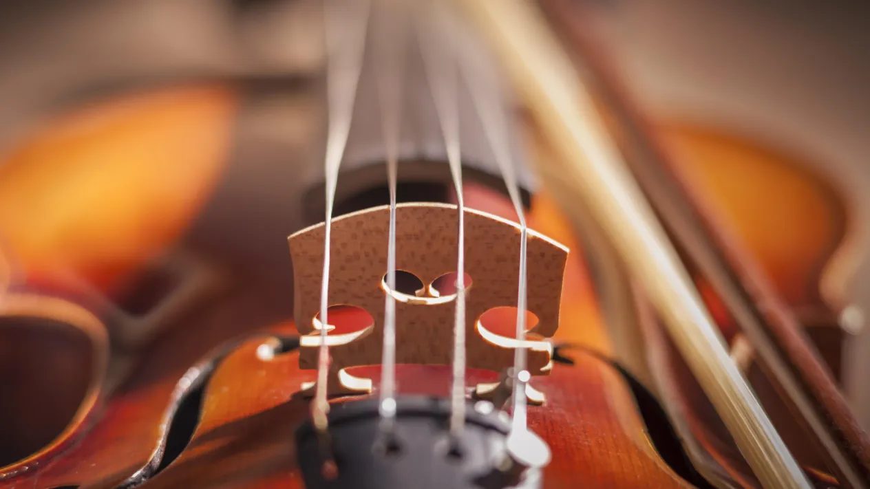 Resonanzen schwingende Violinsaiten Resonanzen schwingende Violinsaiten